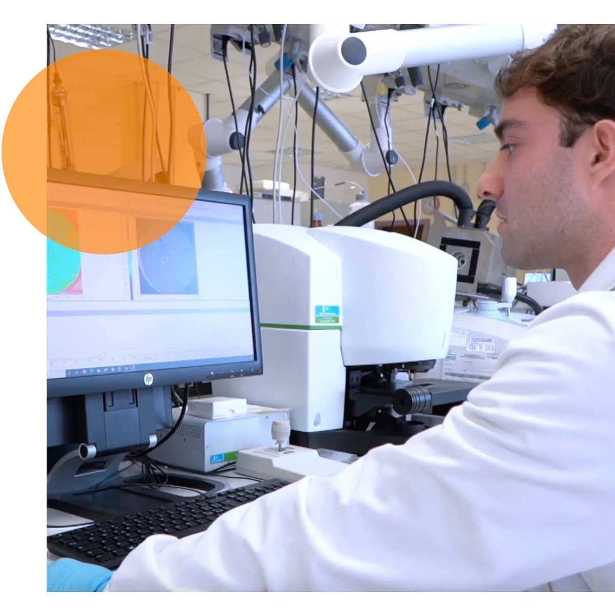 lab